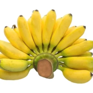 Chuối cau nải 800g trở lên (Giao ngẫu nhiên sống hoặc chín)