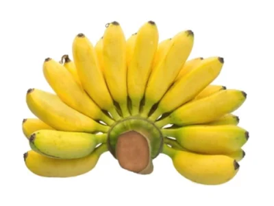 Chuối cau nải 800g trở lên (Giao ngẫu nhiên sống hoặc chín)