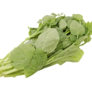 Rau mồng tơi 4KFarm