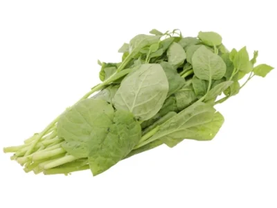 Rau mồng tơi 4KFarm