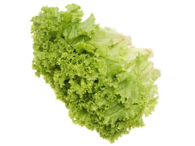 Xà lách lô lô xanh